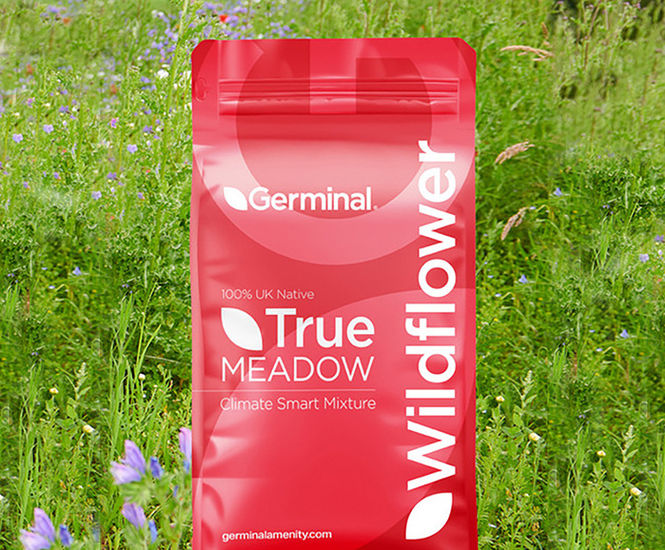 RE2 Lowland Meadow (MG9 Grassland) - seed mixture