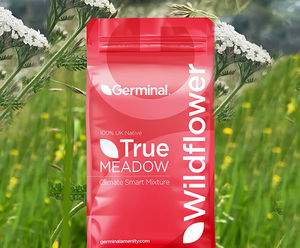 RE4 Lowland Limestone (CG2 Grassland) - seed mixture
