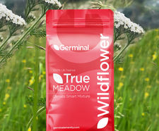 RE4 Lowland Limestone (CG2 Grassland) - seed mixture
