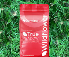 RE8 Coastal Reclamation (MG12 Grassland) - seed mix