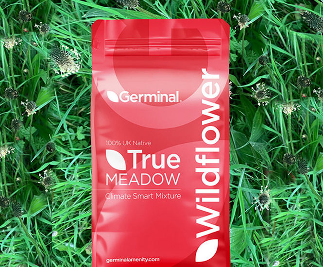 RE8 Coastal Reclamation (MG12 Grassland) - seed mix