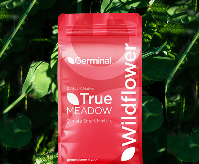 RE9 Farmland Mixture (MG6 Grassland) - seed mixture