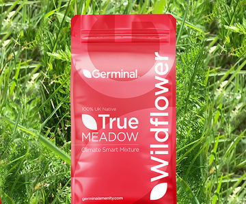 RE10 Marginal Land (U20 Grassland) - seed mixture
