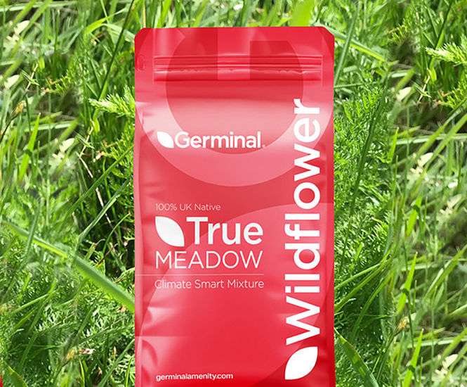 RE10 Marginal Land (U20 Grassland) - seed mixture