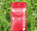 RE10 Marginal Land (U20 Grassland) - seed mixture