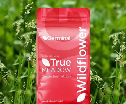RE11 Heath Scrubland (U13 Grassland) - seed mixture