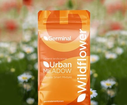 WF1 Flowering Meadow - seed mixture