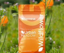 WF3 General Purpose Neutral Soils - wildflower seed mixture
