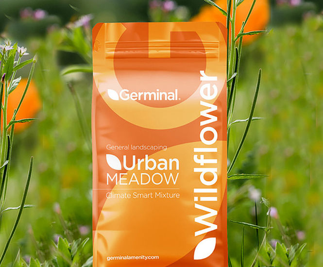 WF3 General Purpose Neutral Soils - wildflower seed mixture