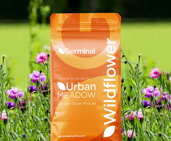 WFG18 Butterfly & Honeybee - wildflower seed mixture