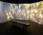 Portable Bamboo decking and support system for indoor exhibition