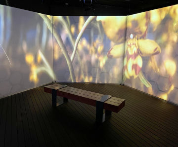 Portable Bamboo decking and support system for indoor exhibition
