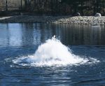 Select Series 2 Torrent - floating lake aerator