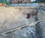Waterproofing a new build prime residential basement 1