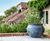 Bell Jar - lightweight fibreglass planters 4