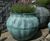 Bell Jar - lightweight fibreglass planters 5