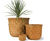Pineapple - lightweight fibreglass planters 2