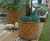 Pineapple - lightweight fibreglass planters 9
