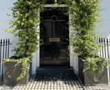 Hampton - lightweight fibreglass planters - on this page