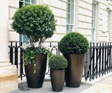 Geo Vase - lightweight fibreglass planters - on this page