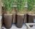 Geo Vase - lightweight fibreglass planters 3