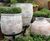 Mediterranean - lightweight fibreglass planters 0