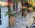 Mediterranean - lightweight fibreglass planters 1