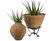 Mediterranean - lightweight fibreglass planters 8