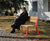 Egoe Classic E1-301 - contemporary steel and wood outdoor seat 1