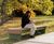 Egoe Foundation O1-2621 - contemporary steel and wood bench 1