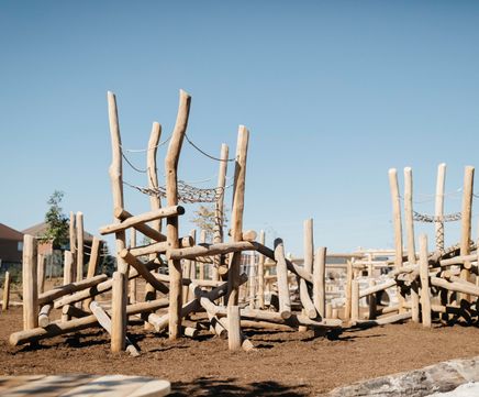 Log Climbing Frame No.9 (CF.LO.09.2)