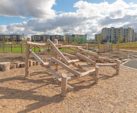 Log Climbing Frame No.2 (CF.LO.02.2)