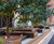 Architectural ceiling features and interior planters - Lots Road 6