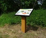 Grenadier Lectern - oak and steel lectern for accessible display panels