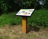 Grenadier Lectern - oak and steel lectern for accessible display panels - on this page