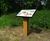 Grenadier Lectern - oak and steel lectern for accessible display panels 0