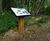 Grenadier Lectern - oak and steel lectern for accessible display panels 1