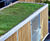 Dartmoor Sedum Roof Shelter 1