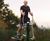 Elliptical Cross Trainer 0