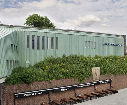 Nordic Green - pre-patinated copper wall cladding