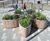 Castleton elliptical timber and metal planter 0