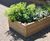 Grenadier budget timber planter 0