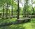 Elements - customisable outdoor modular benches and tables 9
