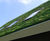 Wildflower Mat - low-maintenance pre-grown grass mat for green roofs 2