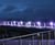 ASF LED handrail lighting systems for pathways, steps and pavements 11