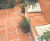 Old Provence Random Terracotta Tiles 2