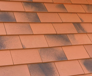 Marley introduces Acme Heritage clay roof tile range