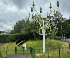 ESG by ESF on World Environment Day