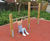 Two-level horizontal bars - softwood and steel gym play equipment 1