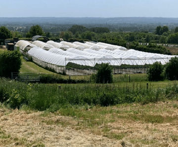 University uses BF5 Sunshine Sensor in greenhouse solar panel research